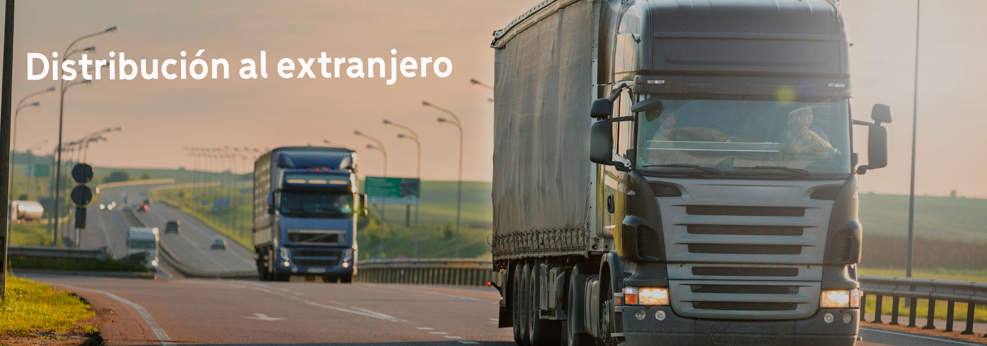 Distribución al extranjero Hierros Langreo